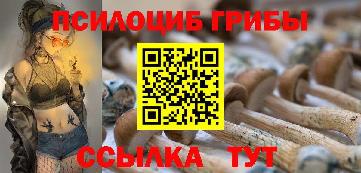 Ессентуки  сколько стоит  Вход с VPN  Псилоцибиновые грибы Magic Shrooms 